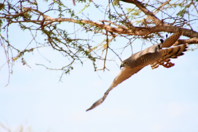 kenya_2007_0715